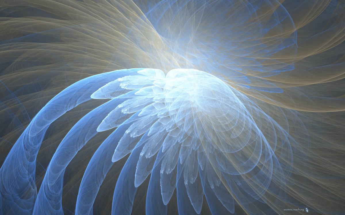 Крылья ангела