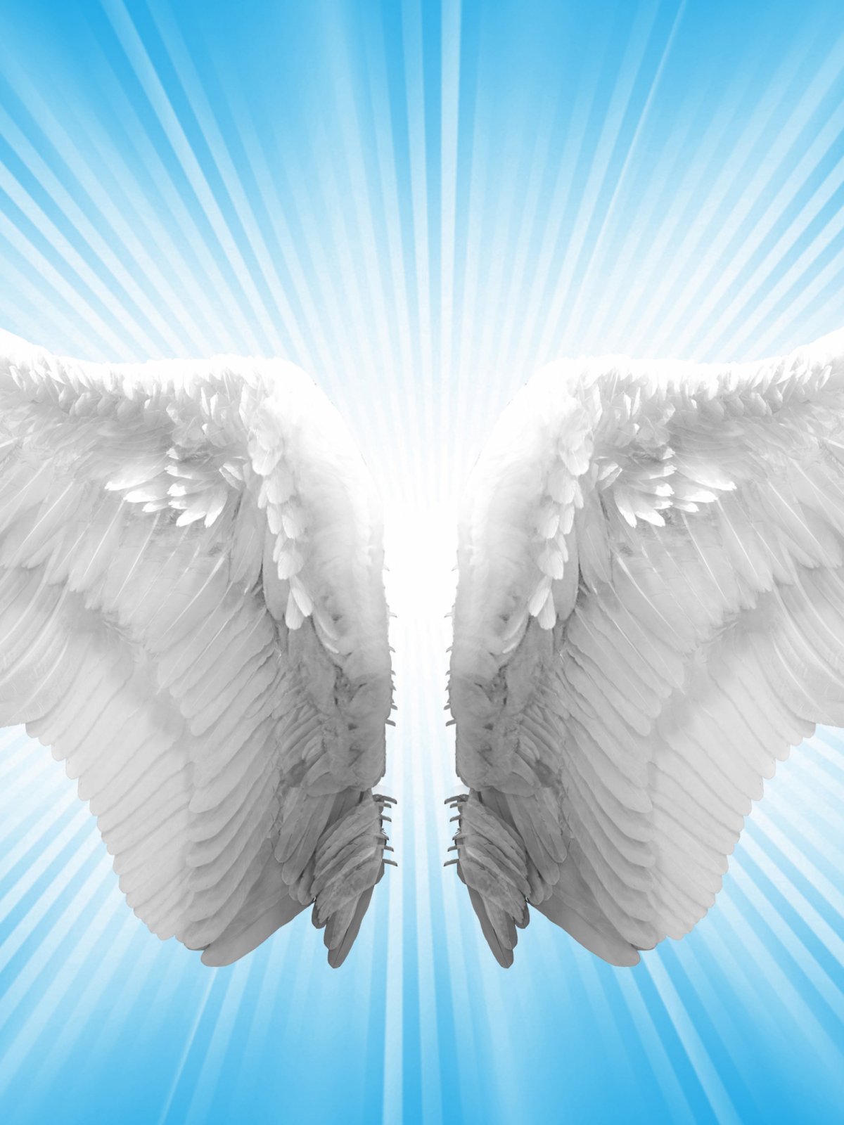 Крылья ангела