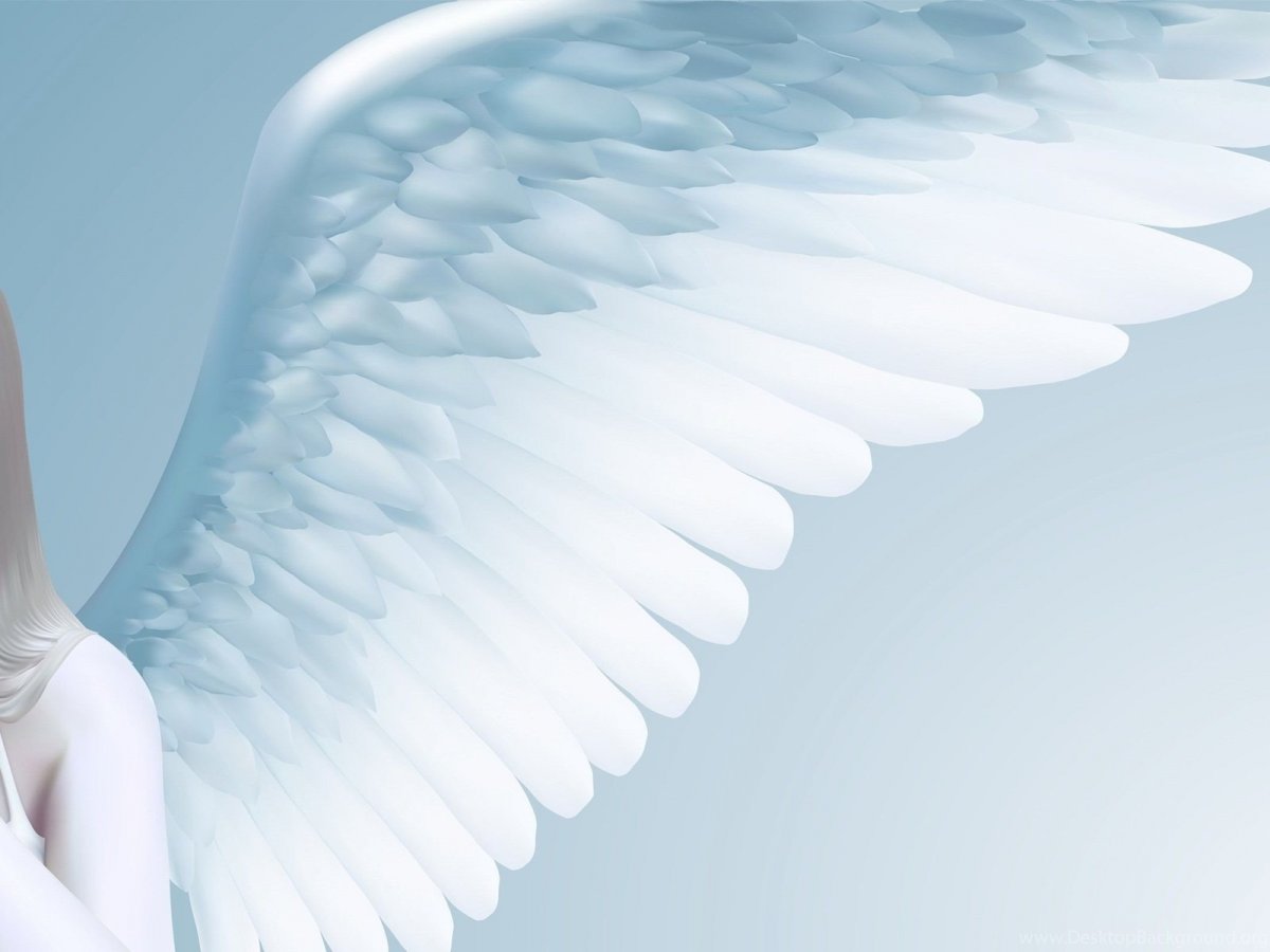 Синие Крылья