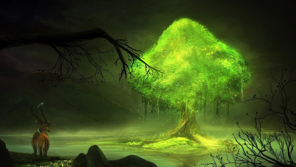 Таинственные джунгли