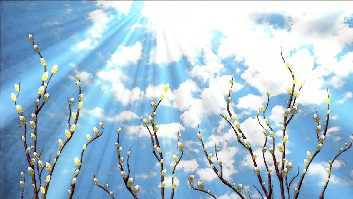 Весеннее солнце