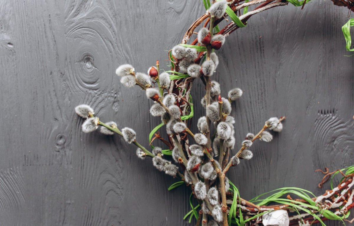 Венок из вербы