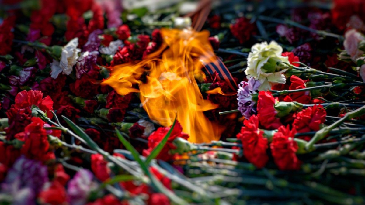 Великая Отечественная война цветы
