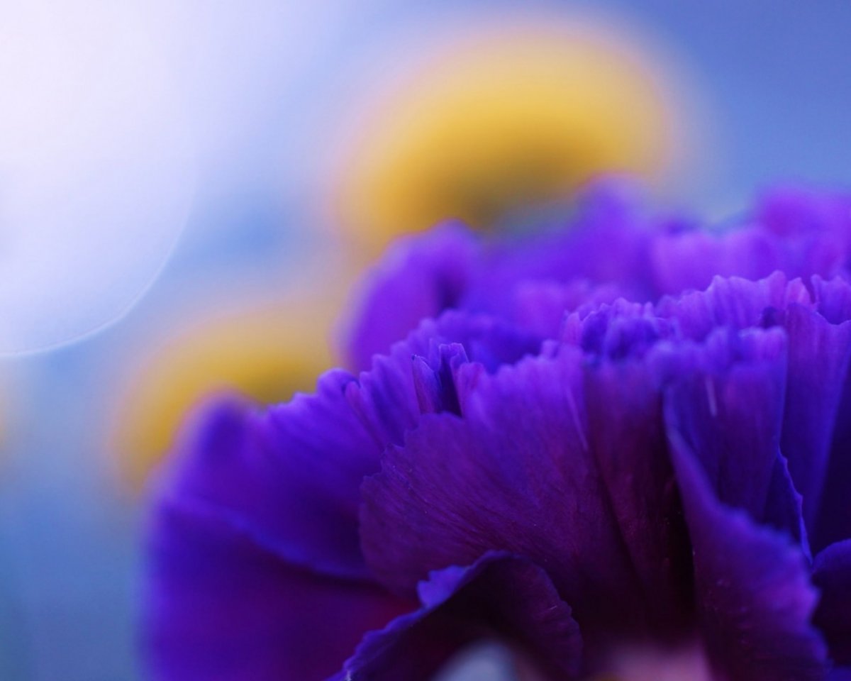 Ярко синие цветы