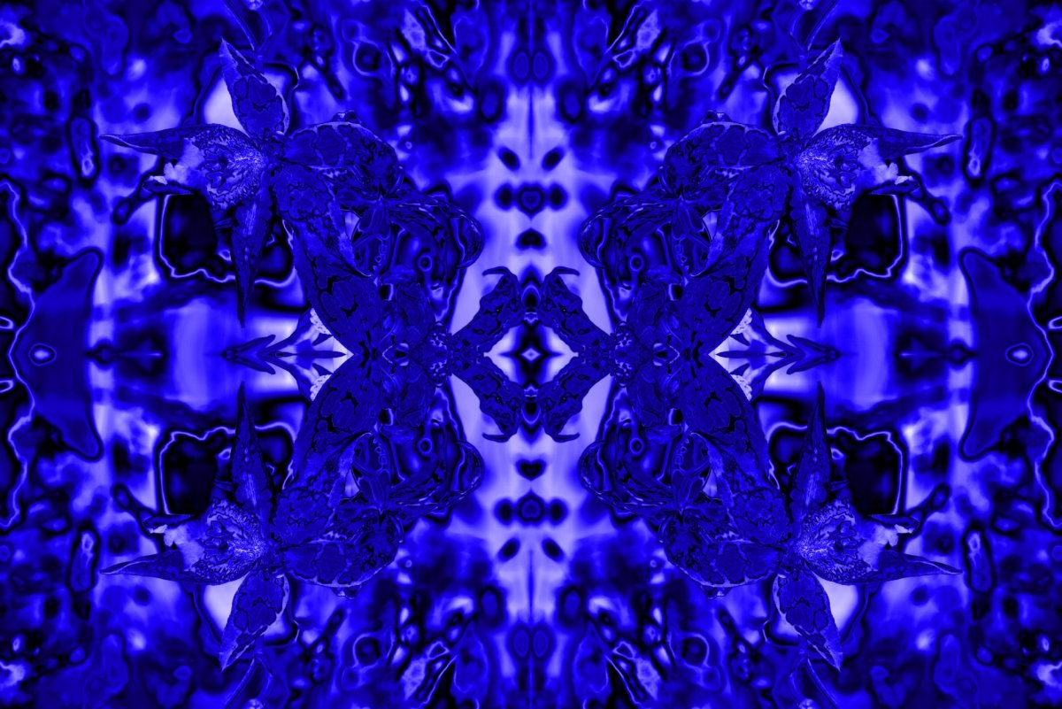 Картинки цвета индиго