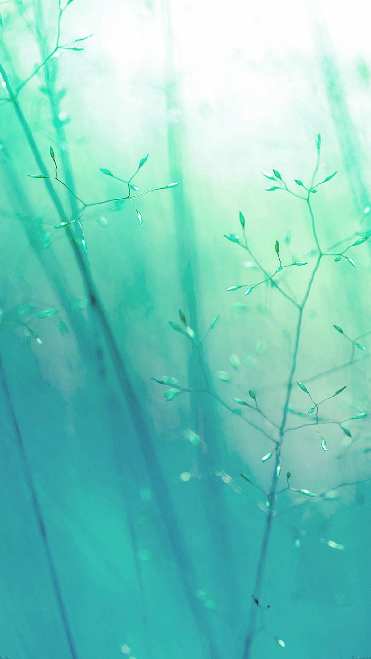 Красивые цвета