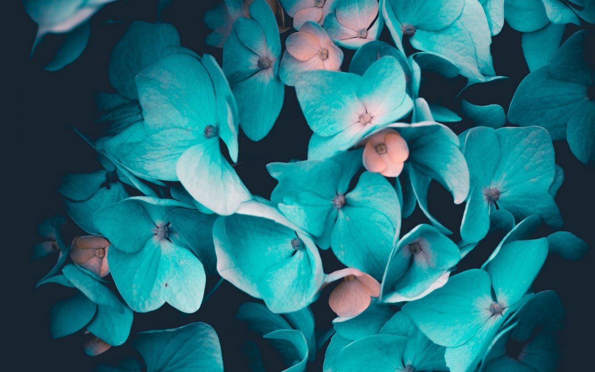 Бирюзовый узор