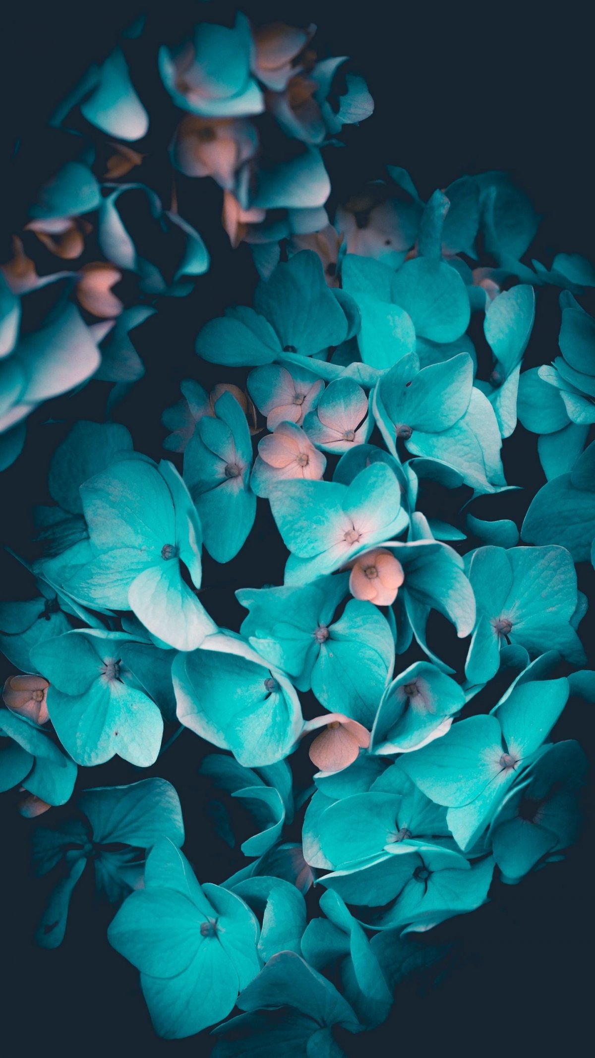 Мятная Эстетика