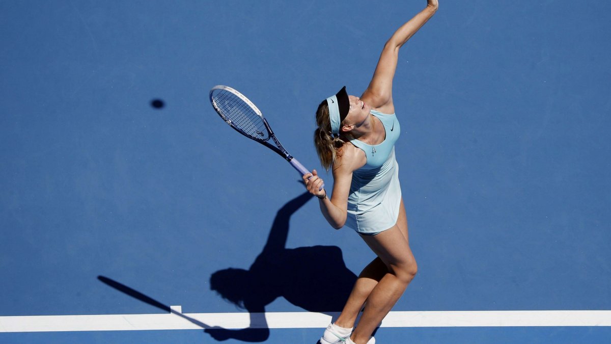 Спорт теннис Шарапова