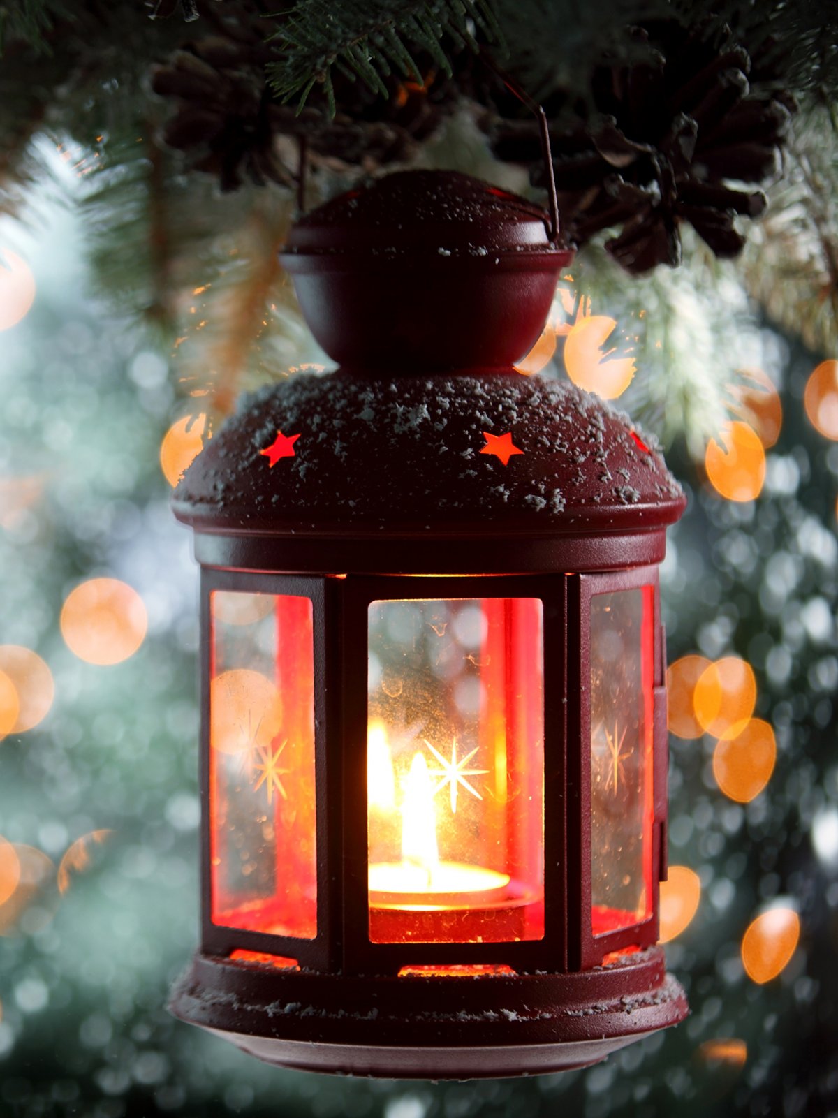 Зимний фонарь в еловых ветвях