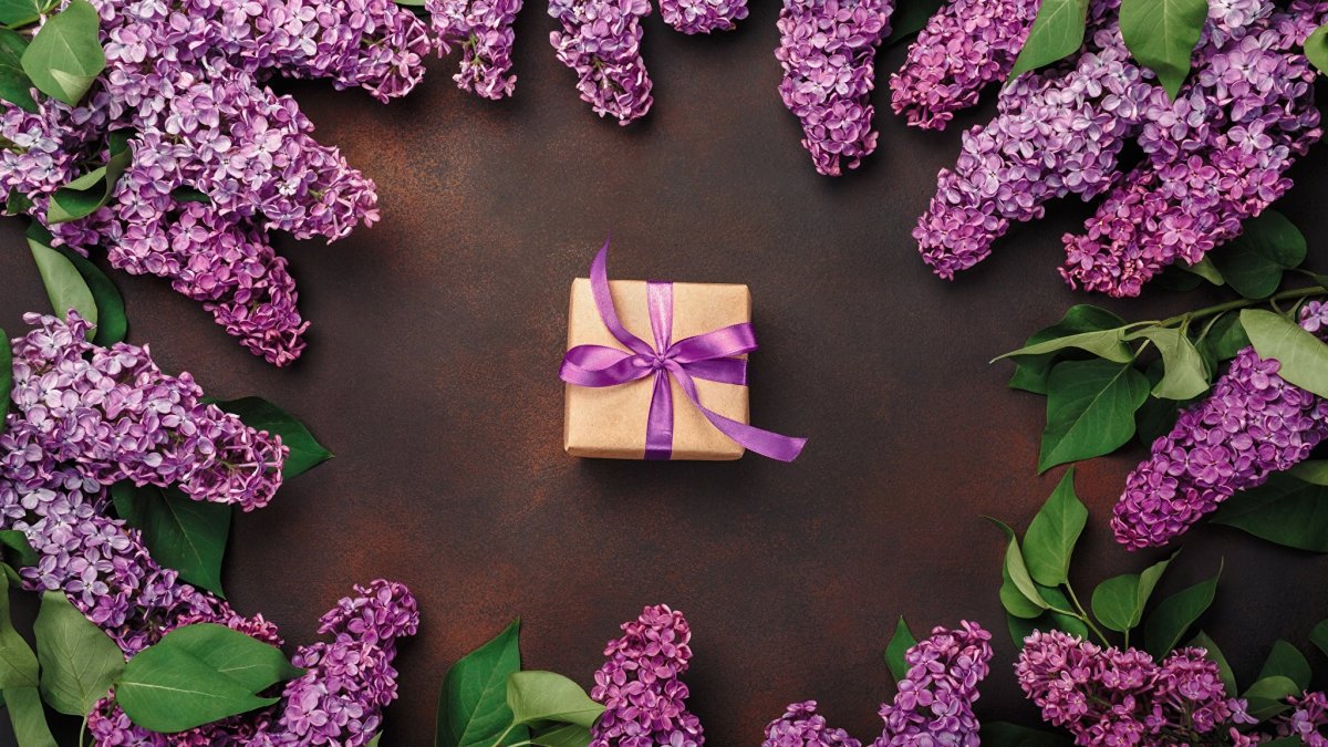 Розовый фон Эстетика