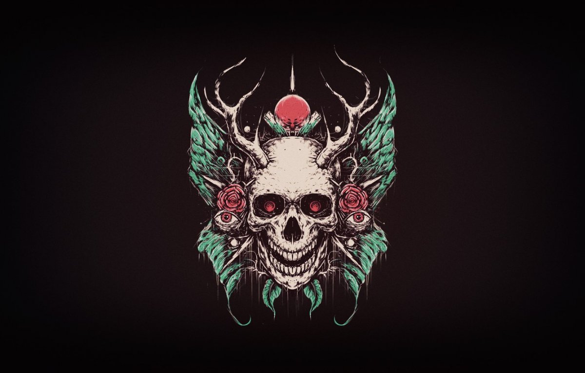 Череп Минимализм