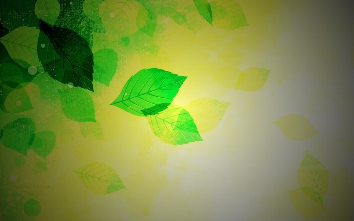 Листья Минимализм