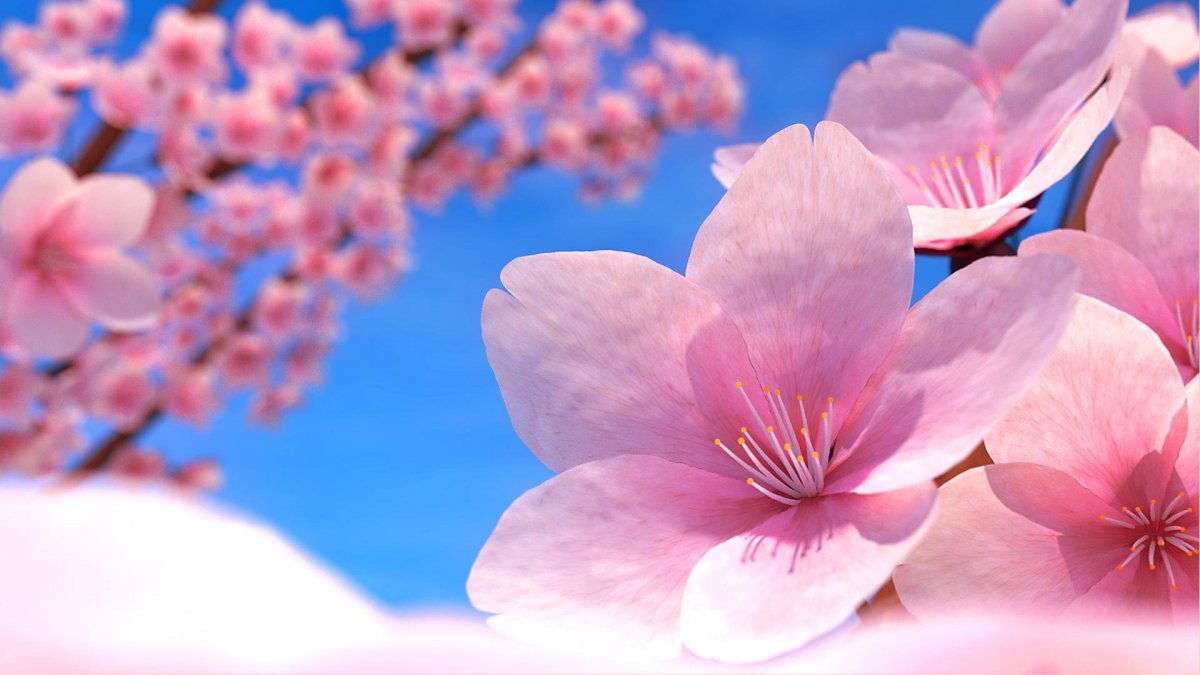 Природа Японии