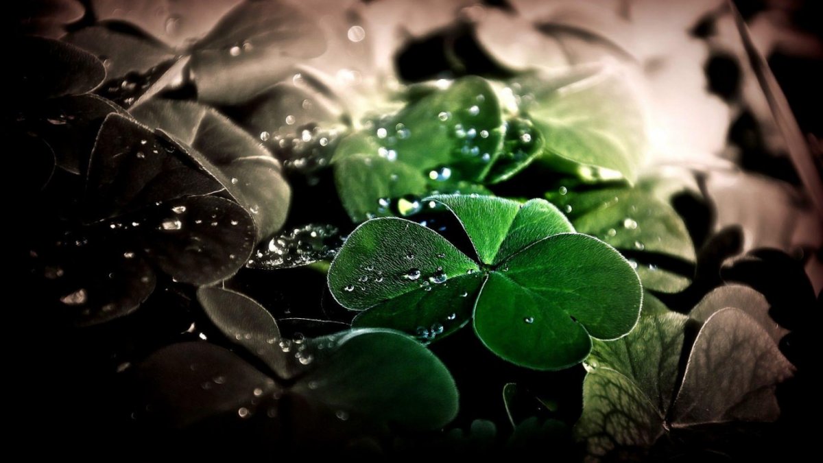 Фон на рабочий стол удача