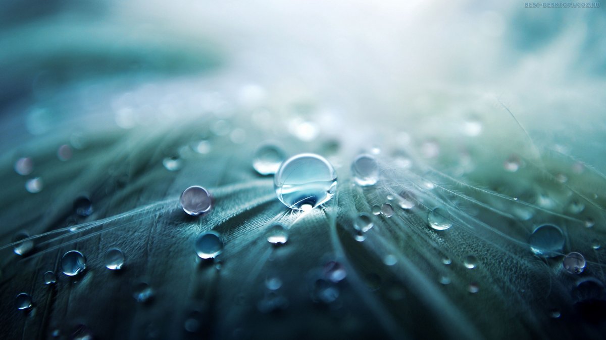 Телевизор Erisson 39lea20t2 Smart 39" (2017)