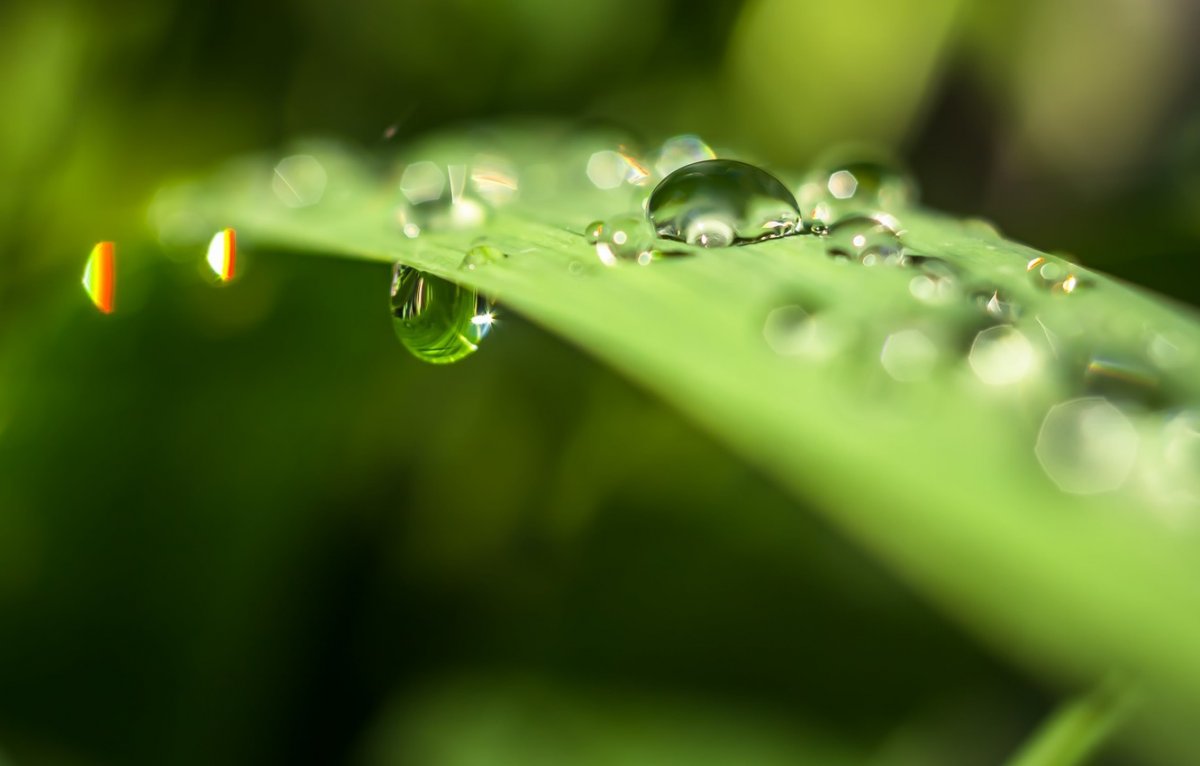 Капельки на рабочий стол