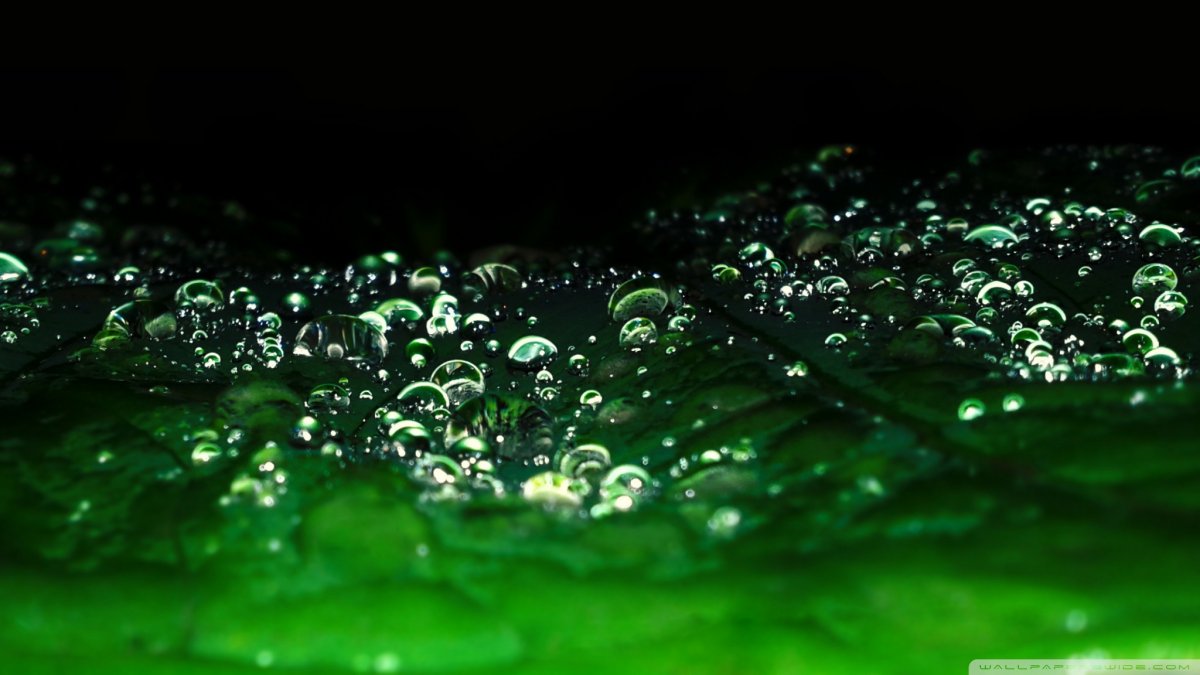 Живые капли