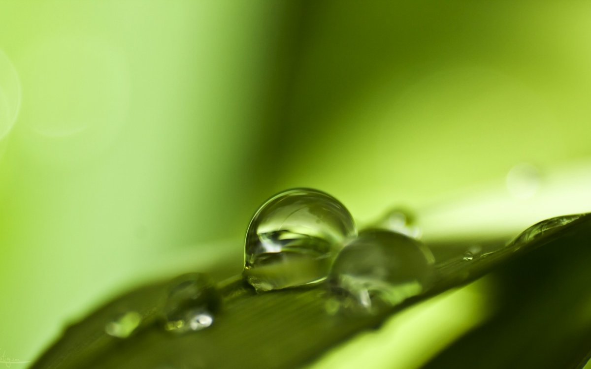 Обои на рабочий стол капли воды