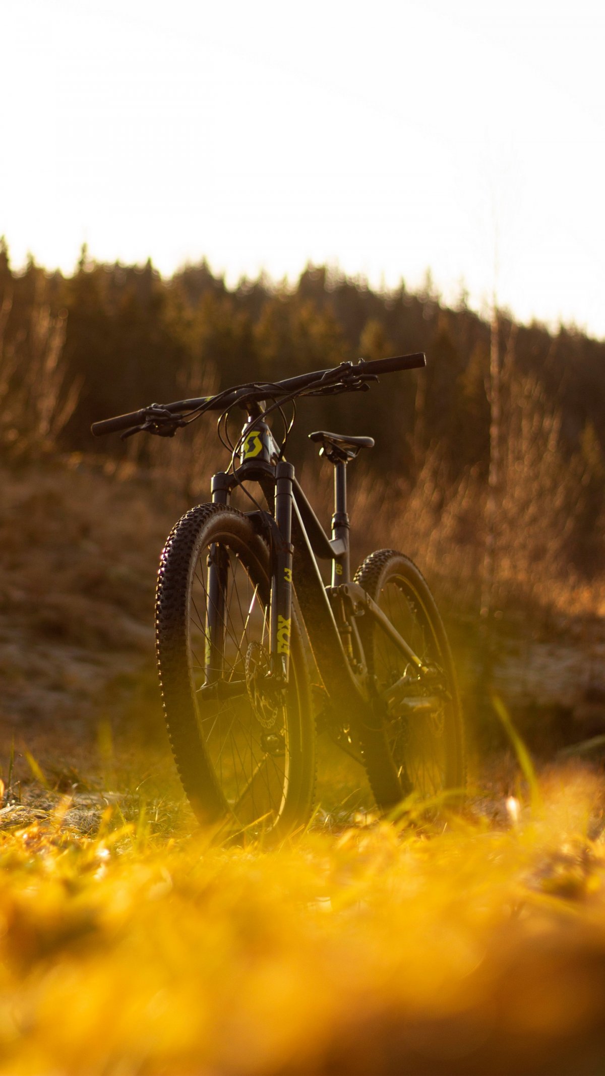 Пейзаж с велосипедом