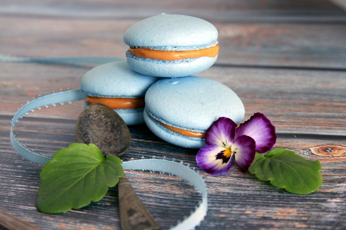 Патис макарун