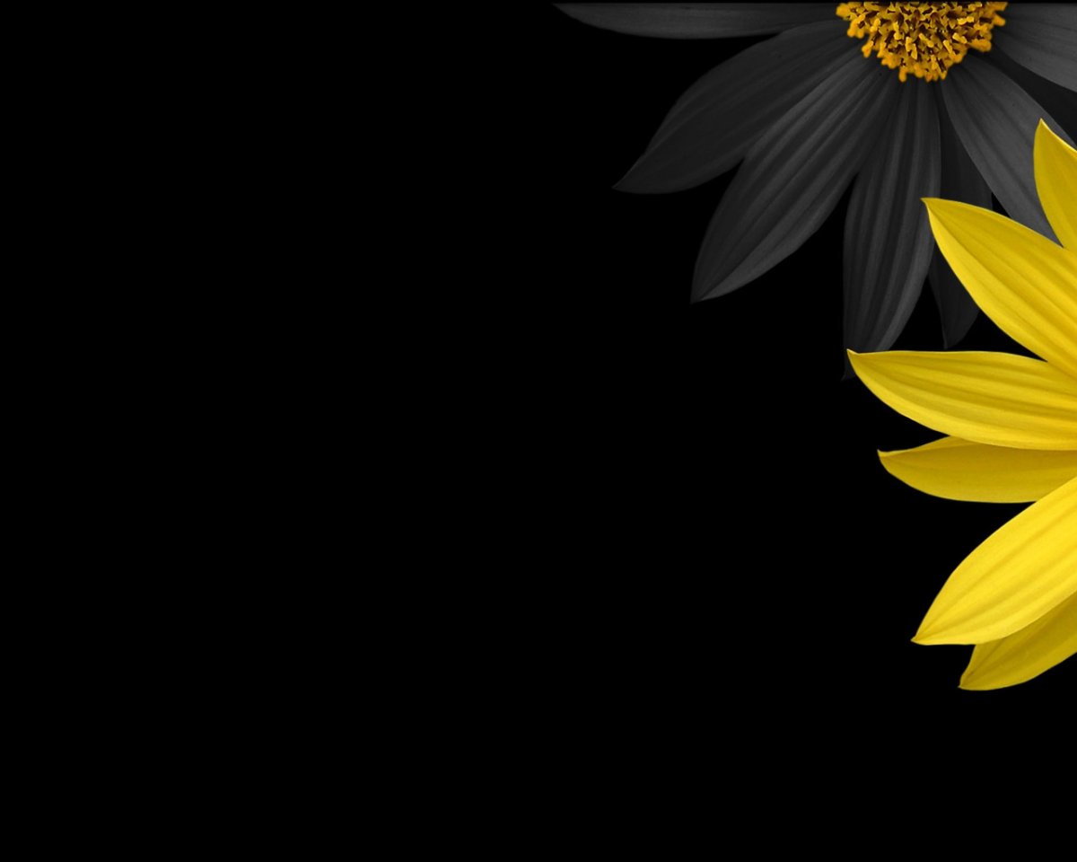 Заставка черный фон