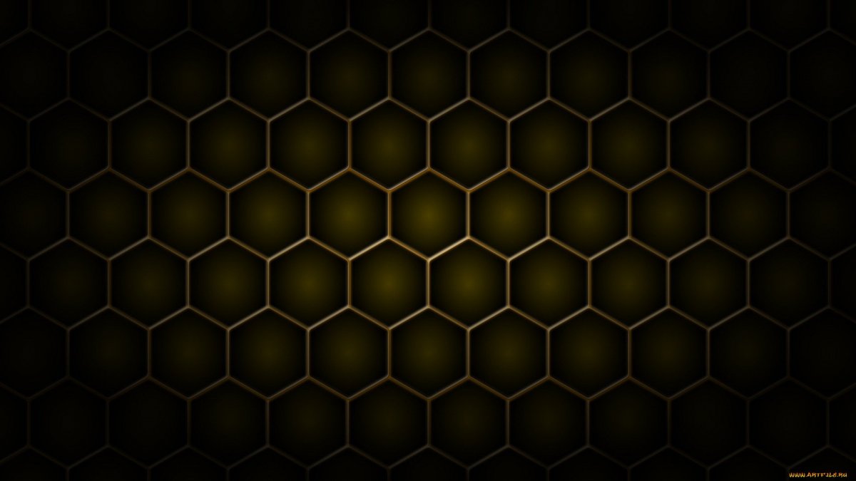 Соты пчелиные