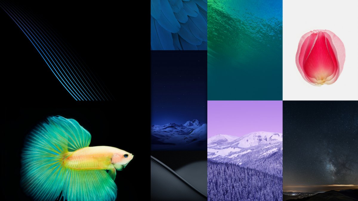 Оригинальные обои на смартфон