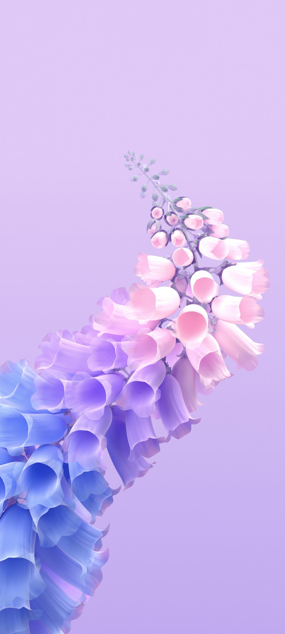 Красно синяя абстракция