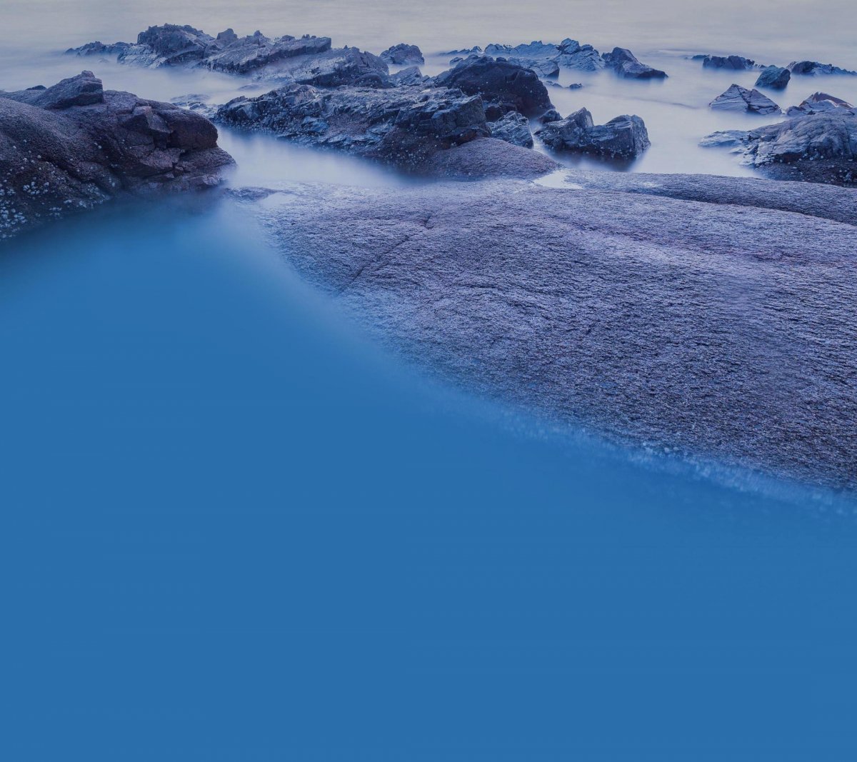 Обои на Виво