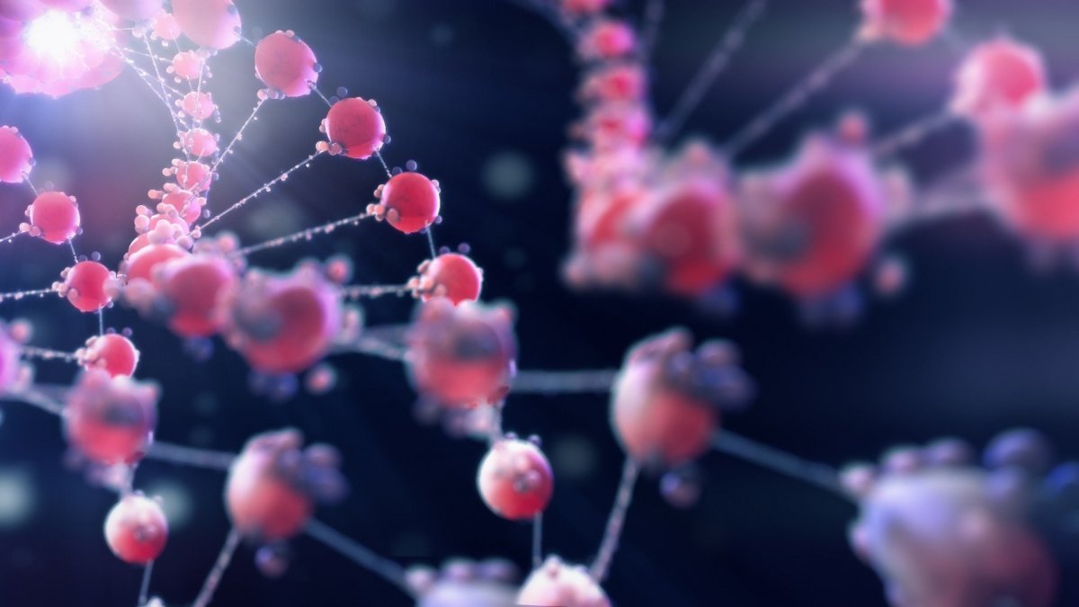 ДНК микробиология