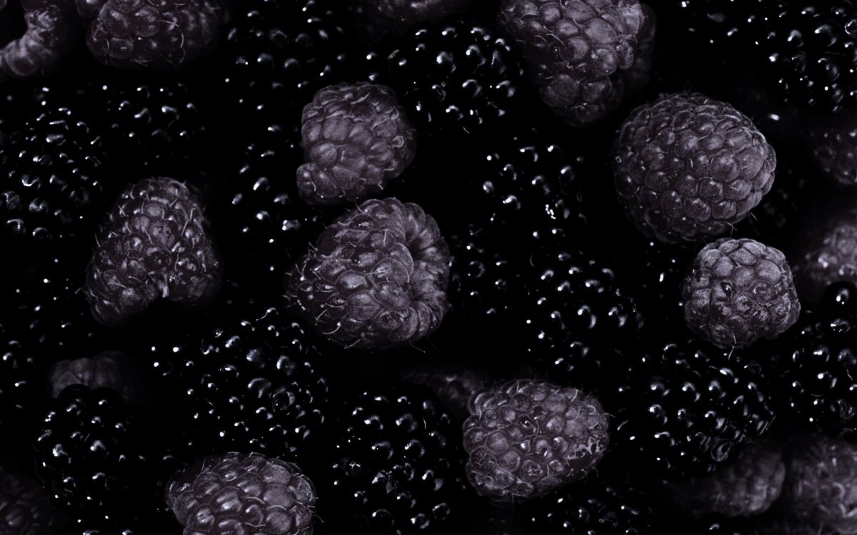 Коты Минимализм