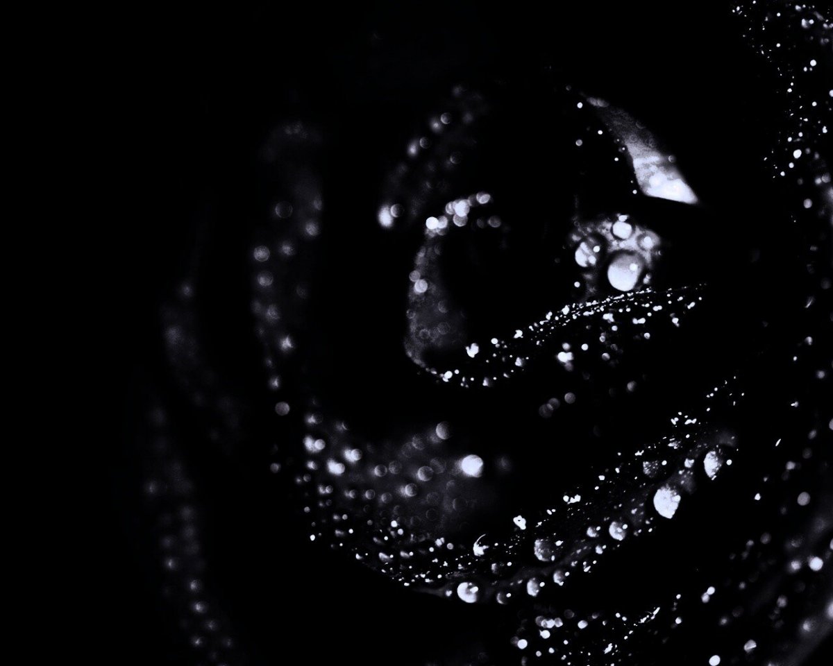 Красивые темные