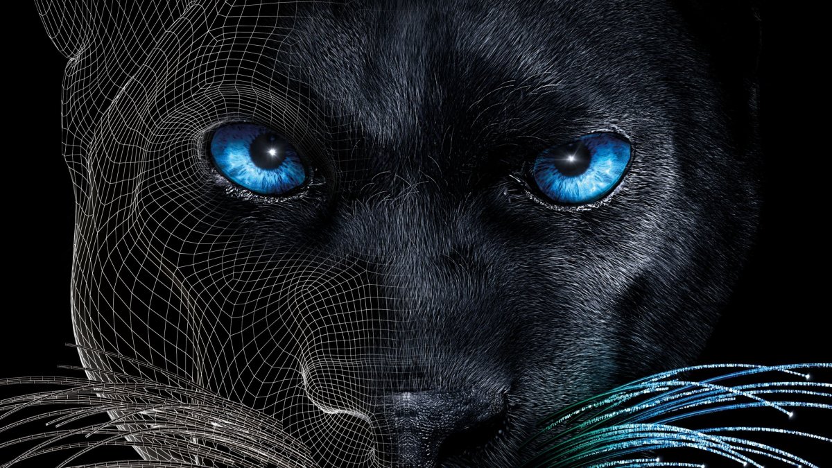 Глаза черной пантеры