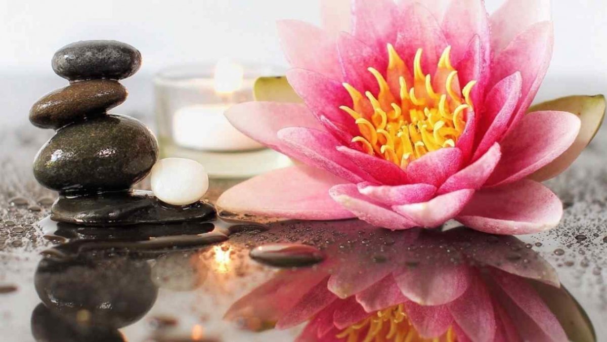 Лотос камни