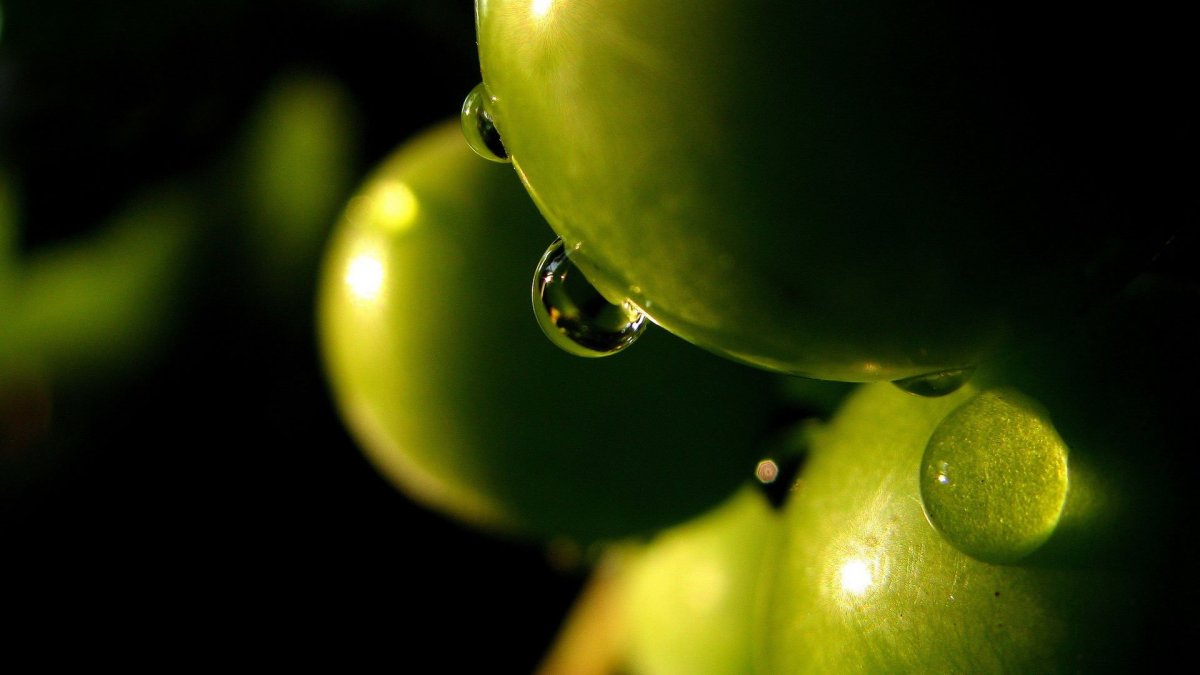 Макросъемка фруктов