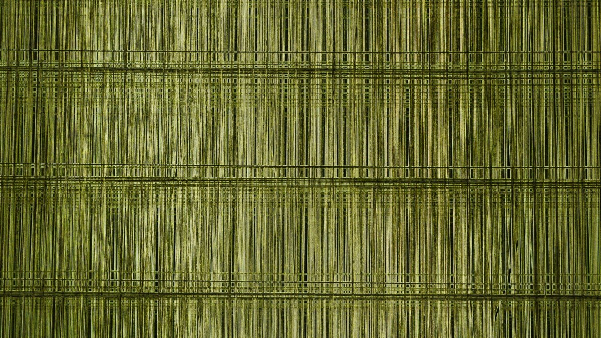 Оливковый фон