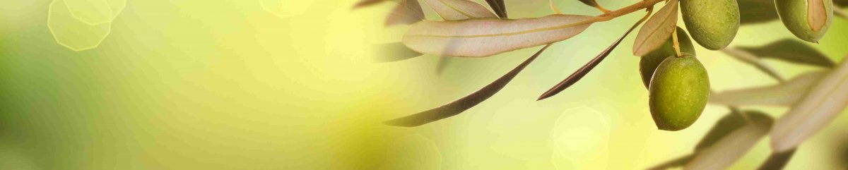 Фон оливковый с листочками