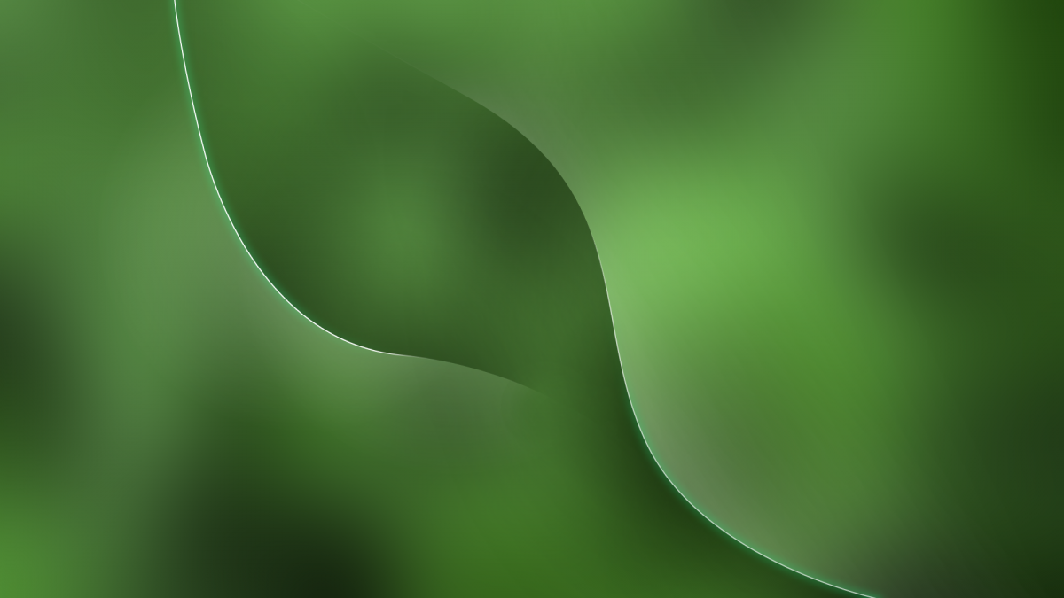 Оливковая абстракция