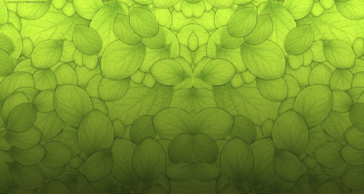 Салатовый фон для фотошопа