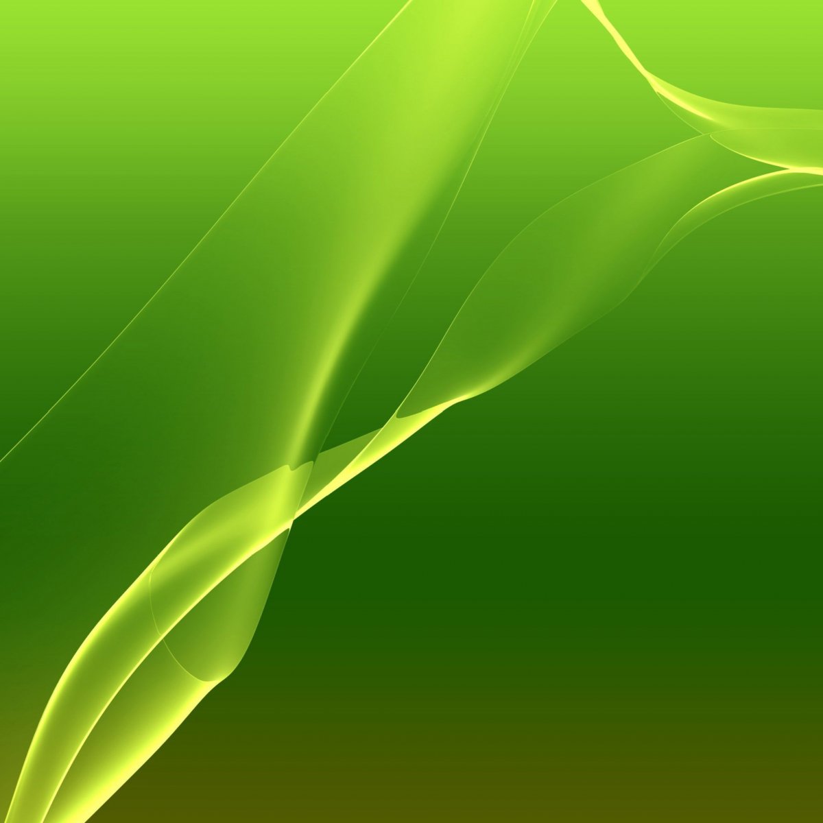 Зеленая абстракция