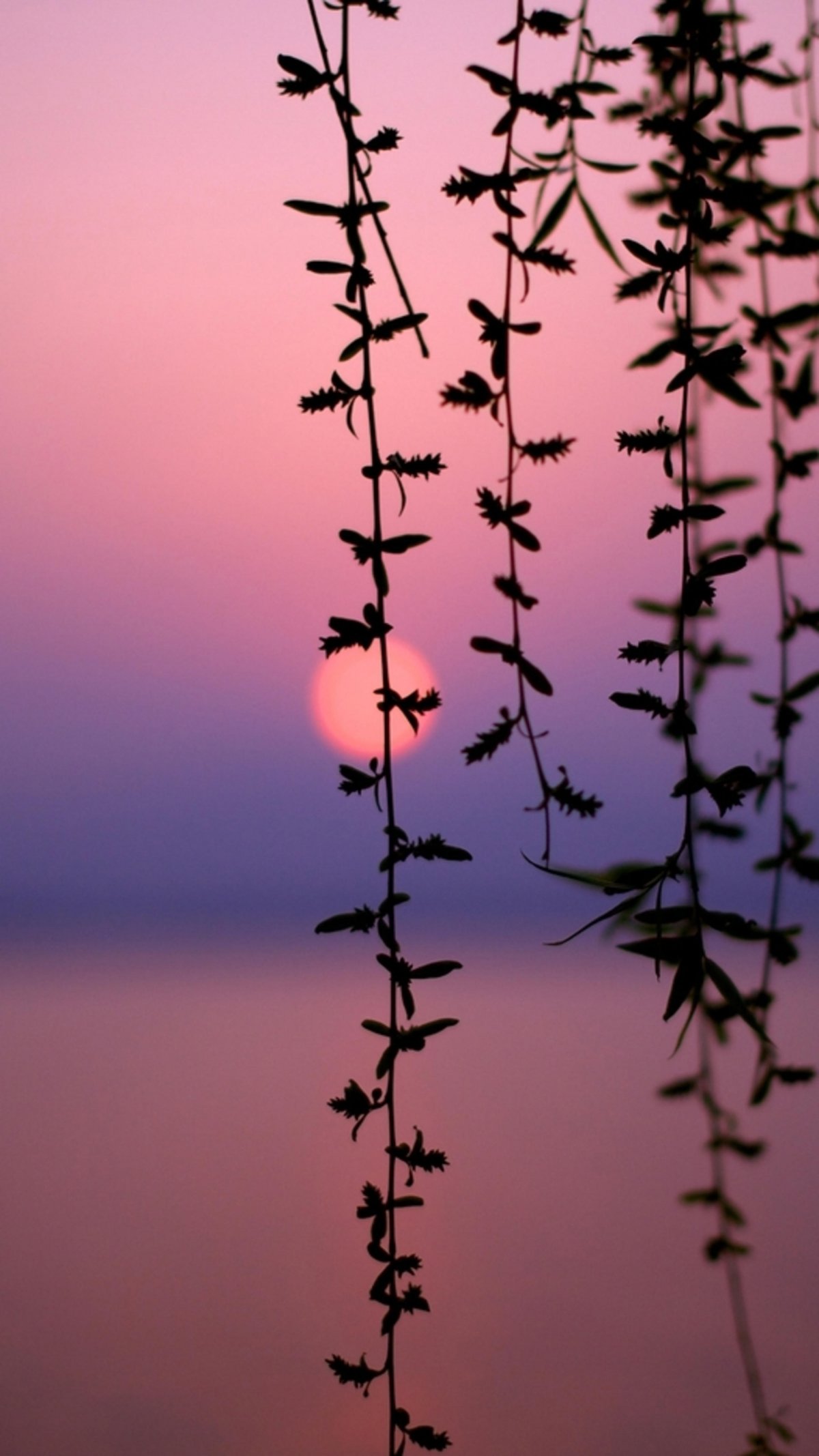 Осенний парк