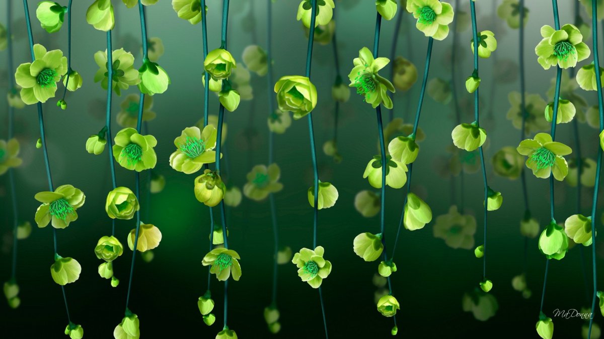 Фотообои однотонные на рабочий стол