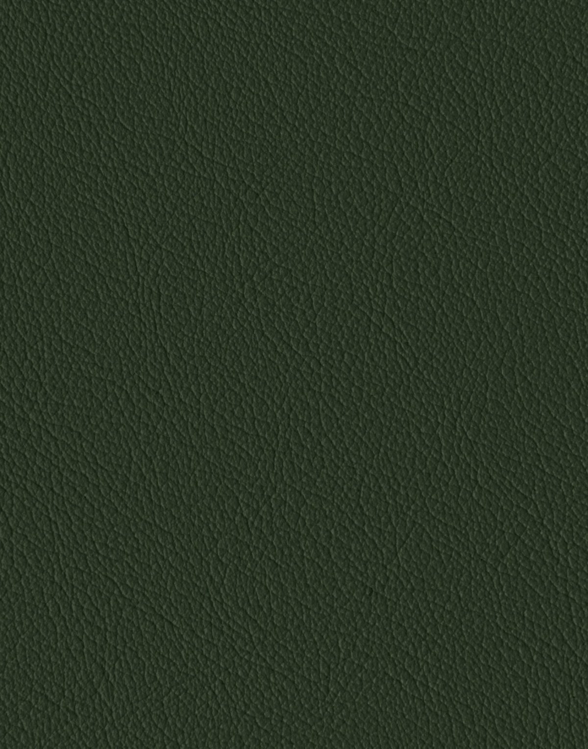 Зеленый фон с орнаментом