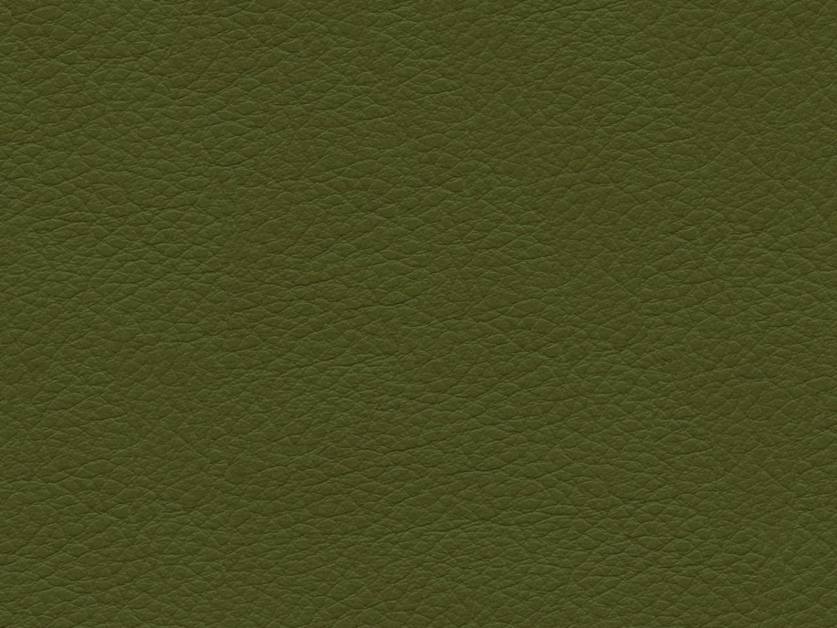 Erismann natural Silence 5292-10