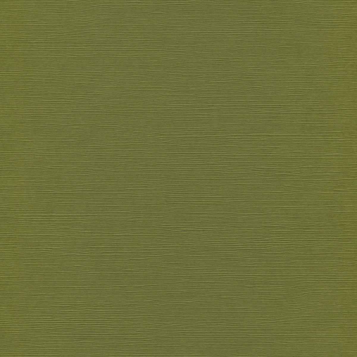 Оливковый цвет