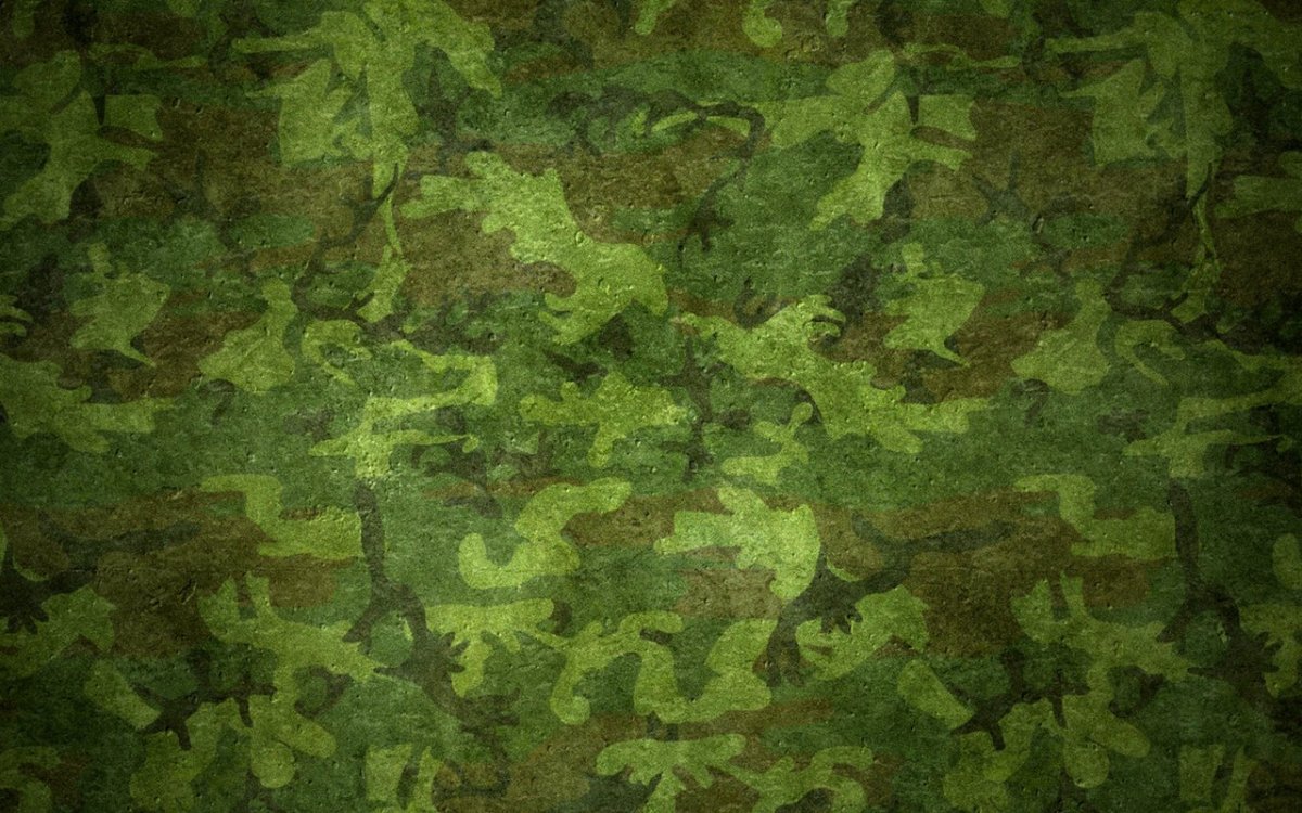 Болотный цвет