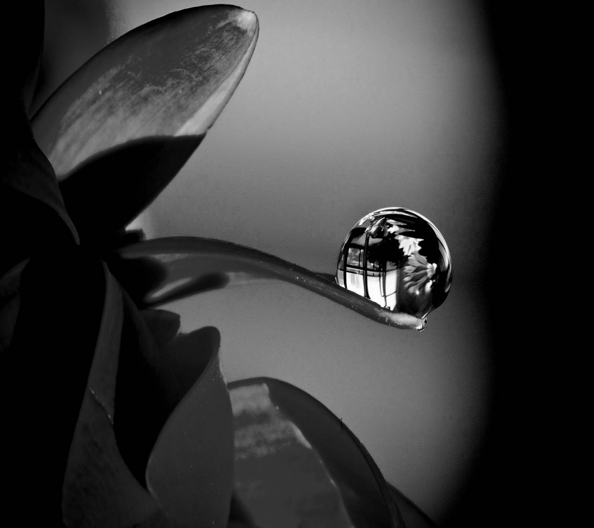 Зеркальные обои на рабочий стол