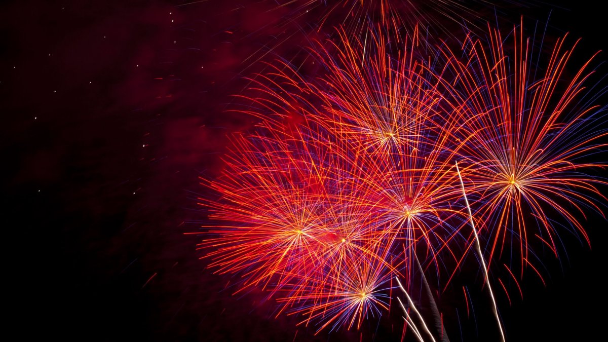 Салют / Salute 2022