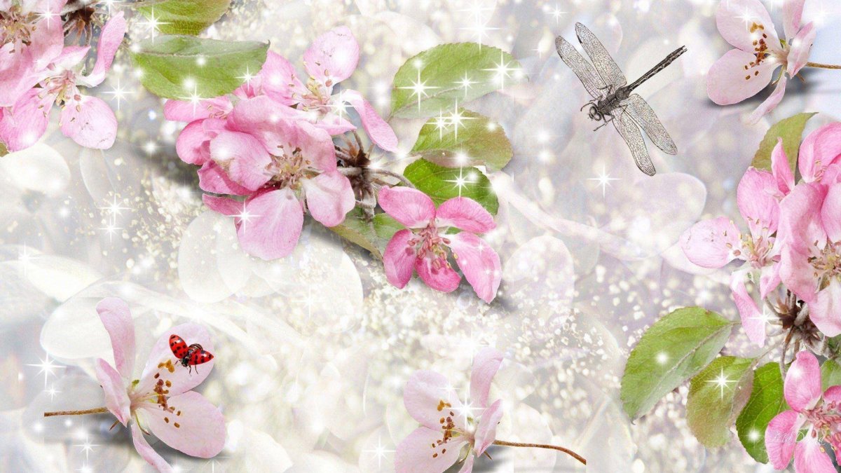 Обои на рабочий стол Гармония